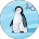 K P